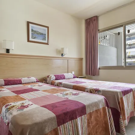 Michelangelo سالو