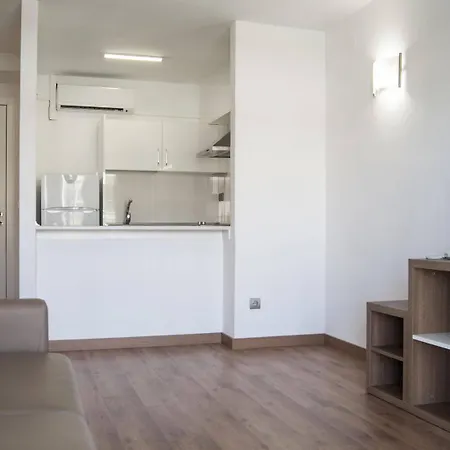 Michelangelo سالو